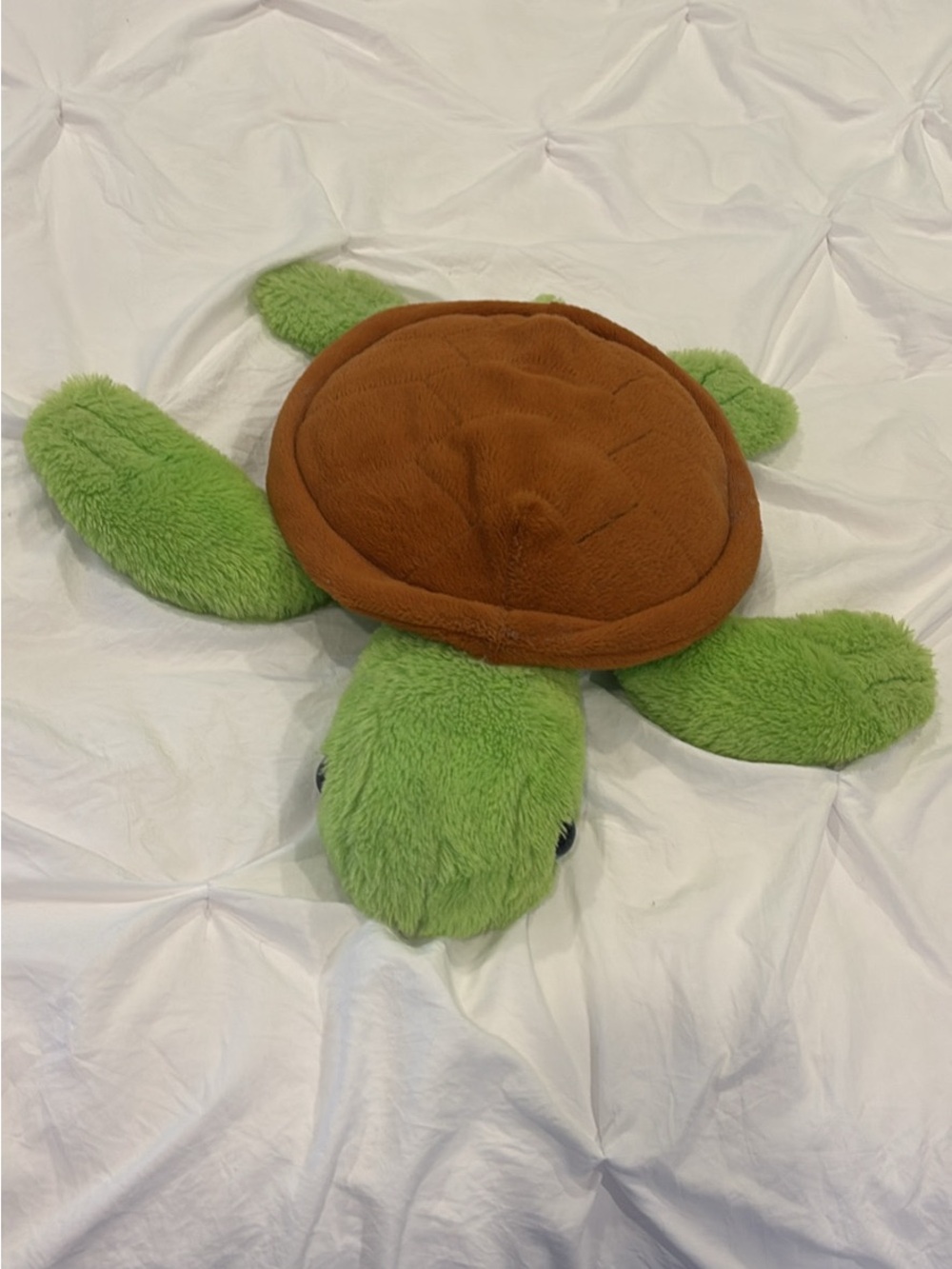 Monterey Bay Aquarium Turtle Souvenir Stuffed Animal Plushie